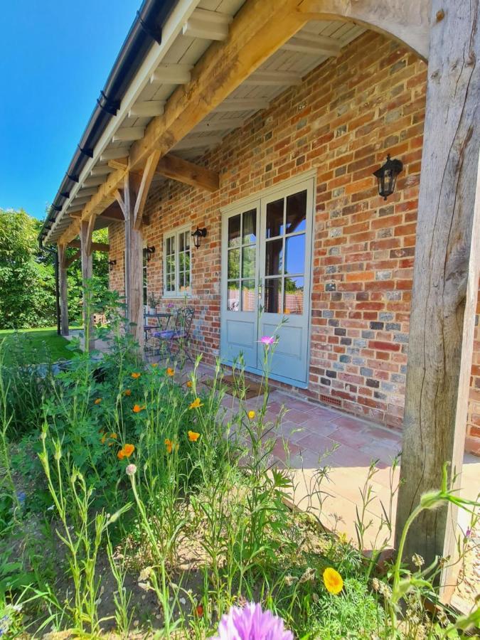 Dragonfly Cottage Christchurch  Exterior photo